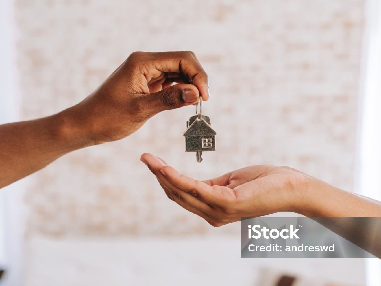 Salon moderne meublé avec un canapé, une table basse et une étagère en bois clair